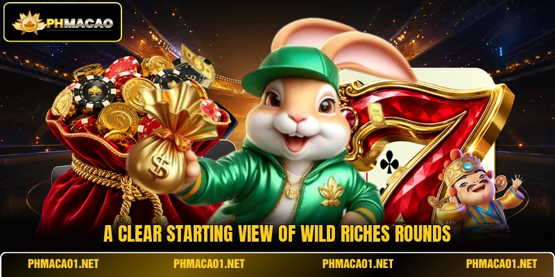 A clear starting view of Wild Riches rounds