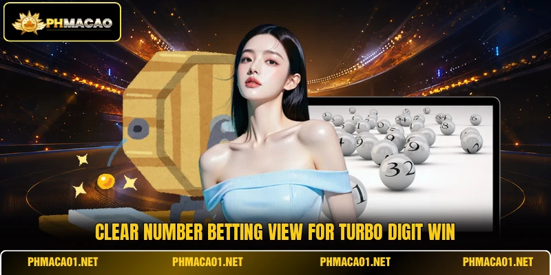 Clear number betting view for Turbo Digit Win
