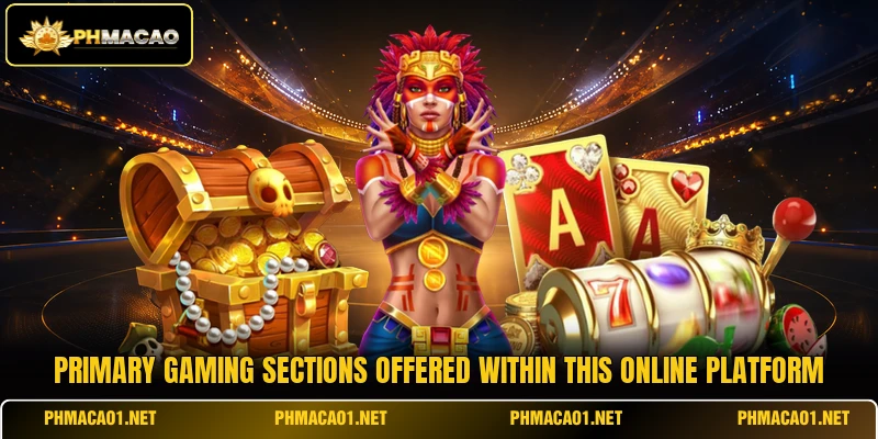 Primary gaming sections offered within this online platform